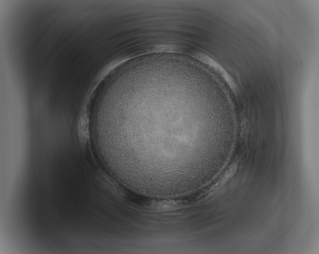 X0000102371019200808011509