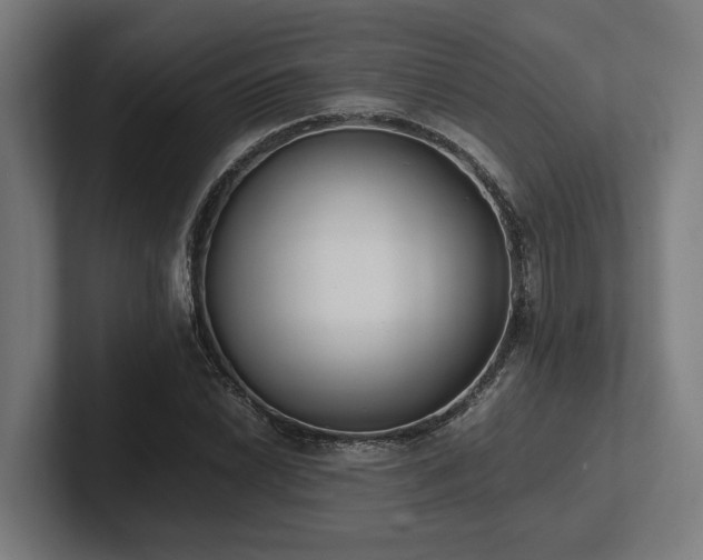 X0000102371022200808011509