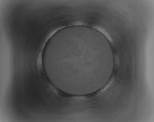 X0000102371023200808011509
