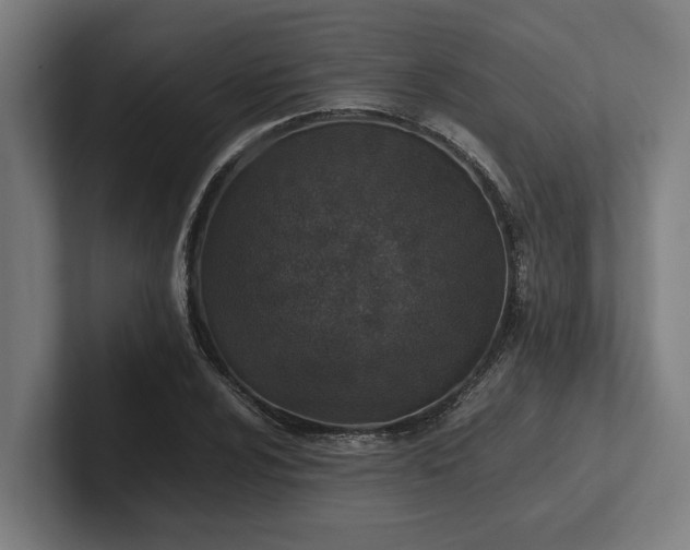 X0000102371024200808011509
