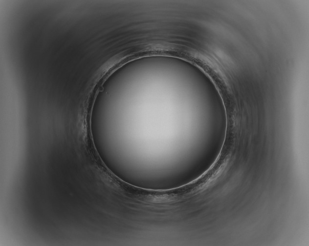 X0000102371025200808011509