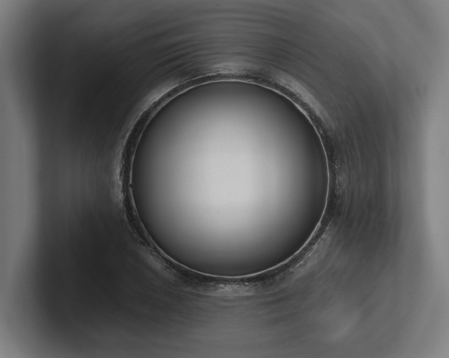 X0000102371026200808011509