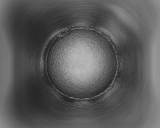 X0000102371027200808011509