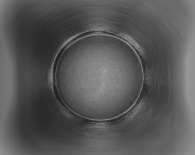 X0000102371028200808011509