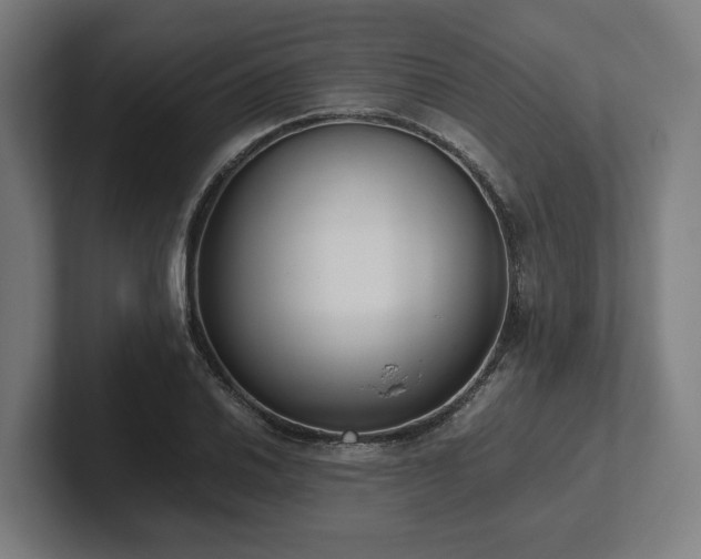 X0000102371030200808011509