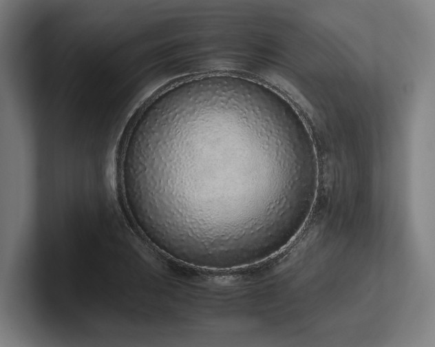 X0000102371031200808011509