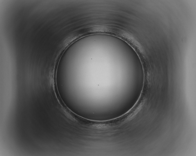 X0000102371033200808011509