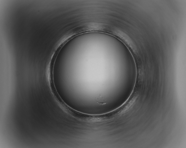 X0000102371034200808011509