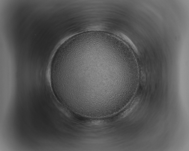 X0000102371035200808011509