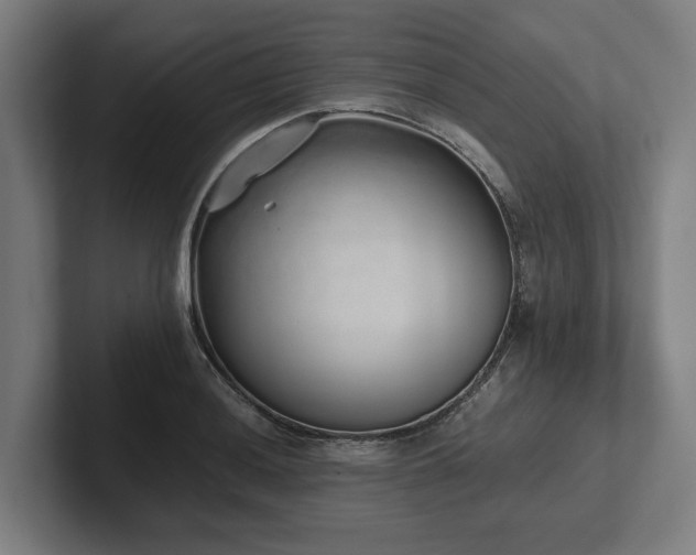 X0000102371036200808011509
