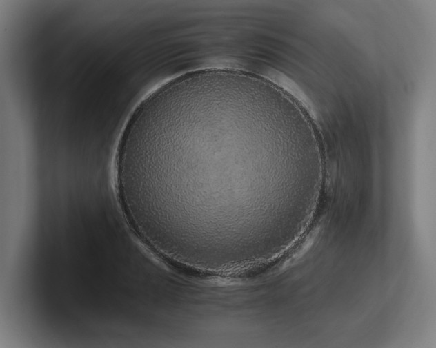 X0000102371037200808011509