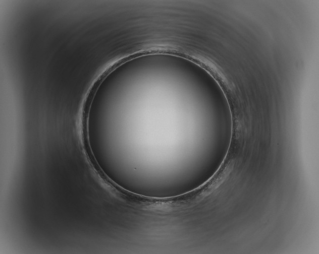 X0000102371038200808011509
