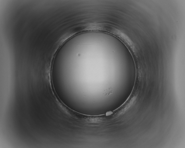 X0000102371041200808011509
