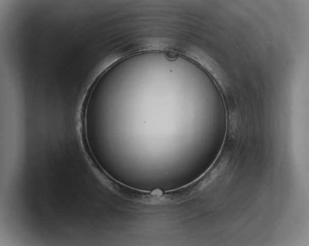 X0000102371042200808011509