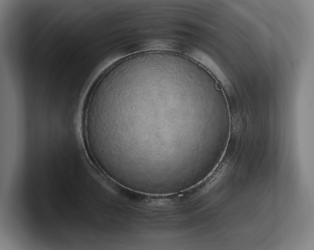 X0000102371043200808011509