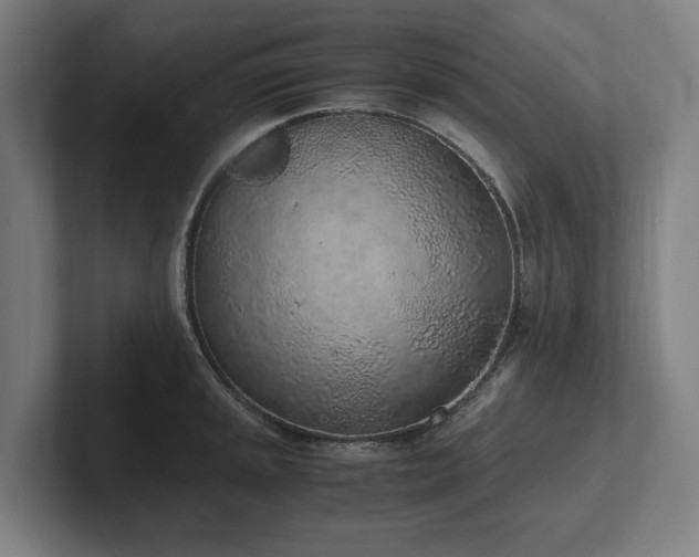 X0000102371045200808011509