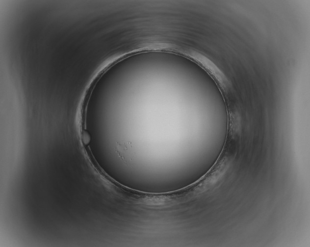 X0000102371046200808011509
