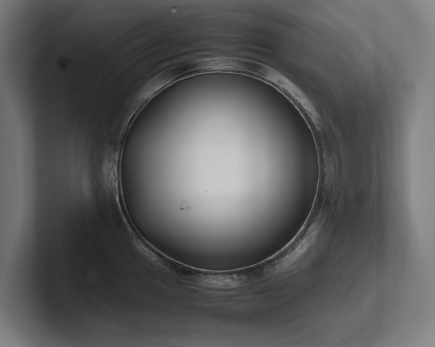 X0000102371049200808011509