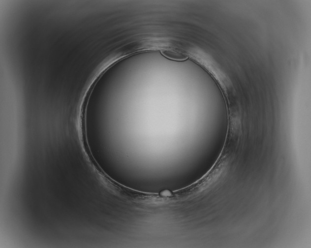 X0000102371050200808011509