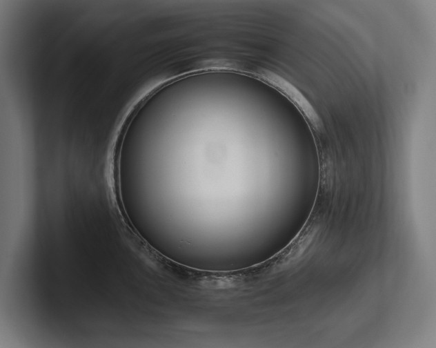 X0000102371051200808011509