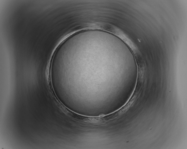 X0000102371052200808011509