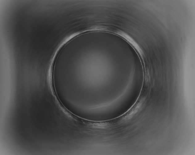 X0000102371053200808011509