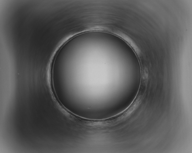 X0000102371054200808011509