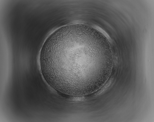 X0000102371055200808011509