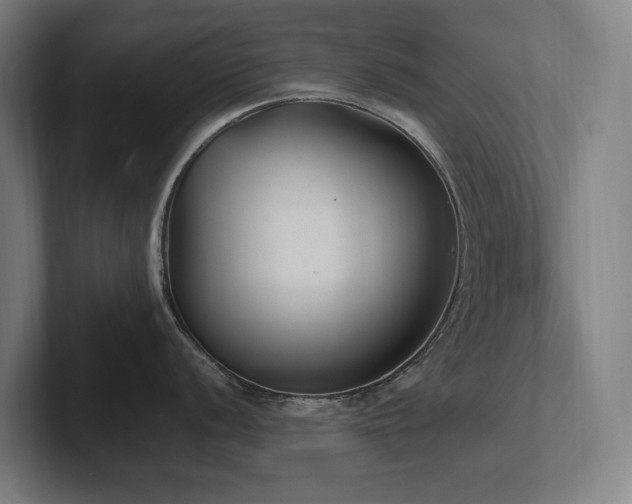 X0000102371056200808011509