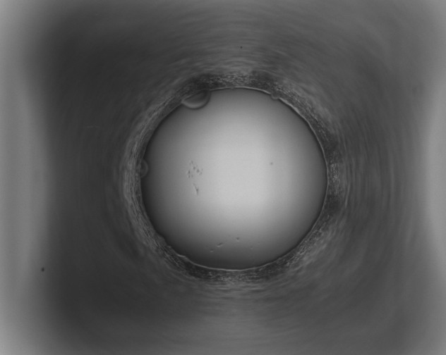 X0000102371057200808011509