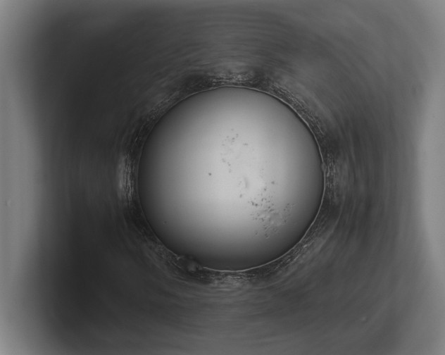 X0000102371058200808011508
