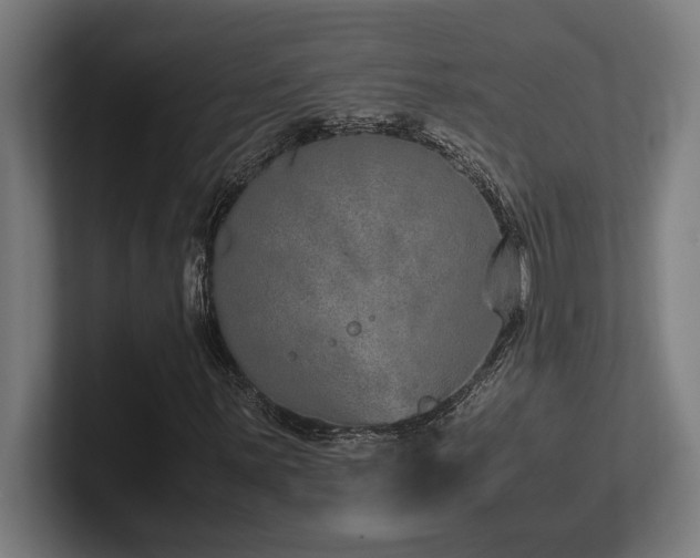 X0000102371059200808011508