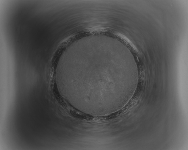 X0000102371063200808011508