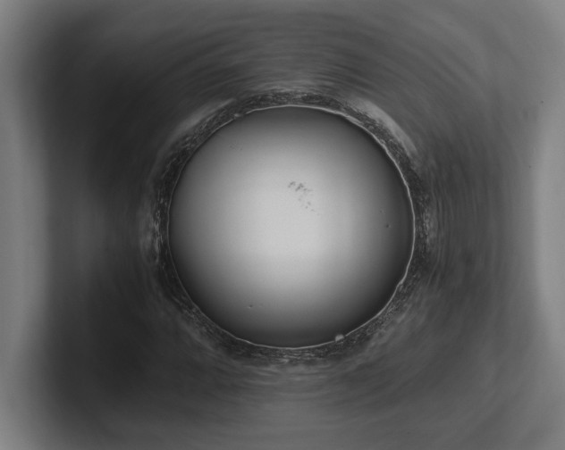 X0000102371064200808011508