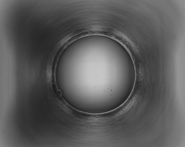 X0000102371065200808011508