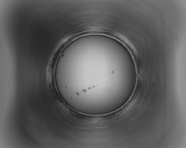 X0000102371067200808011508