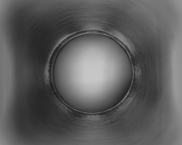 X0000102371068200808011508