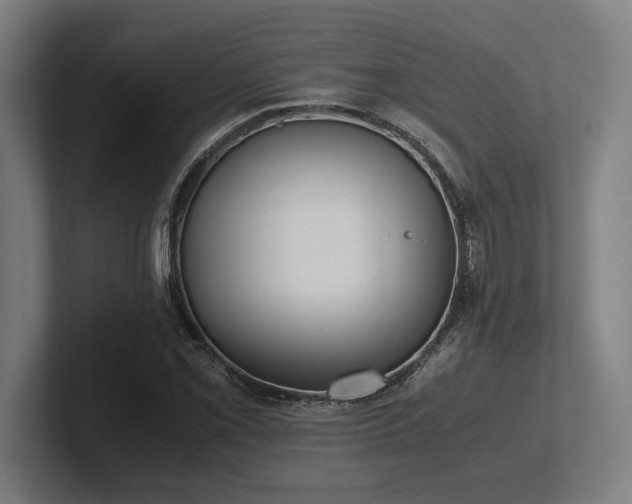 X0000102371069200808011508