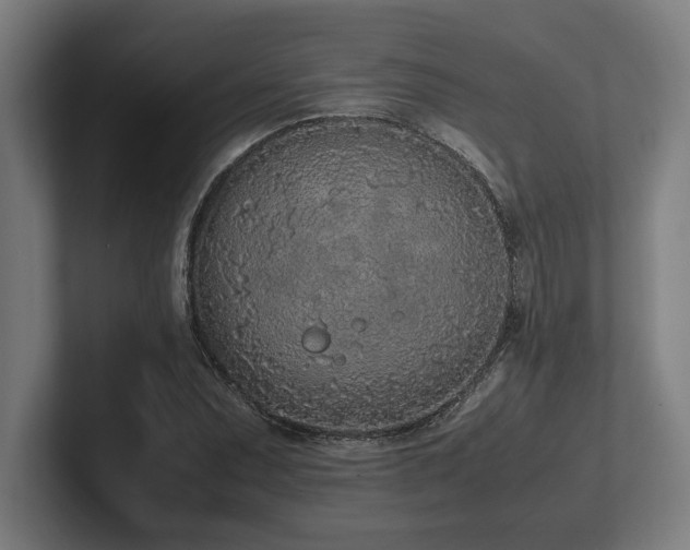 X0000102371071200808011508