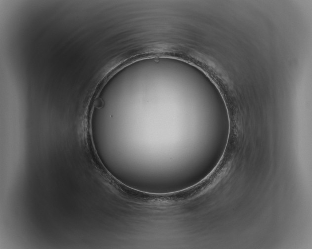 X0000102371073200808011508