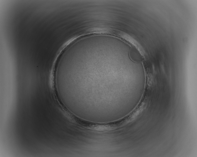 X0000102371074200808011508