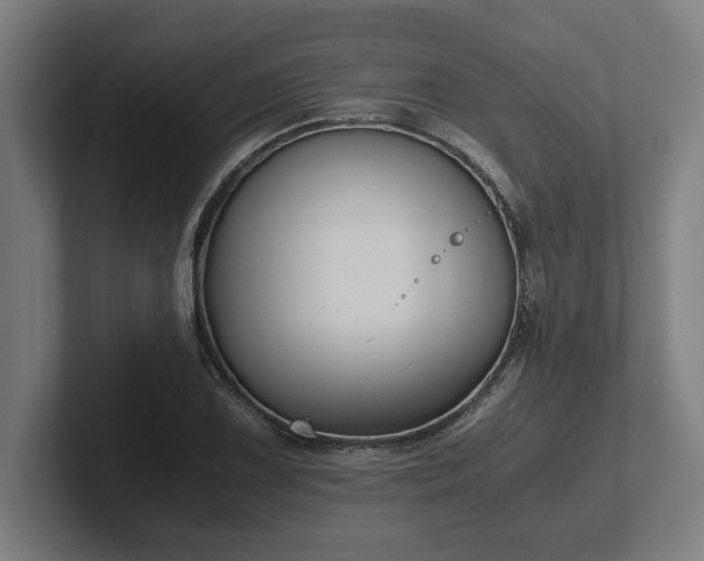 X0000102371075200808011508