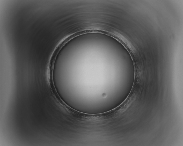 X0000102371076200808011508