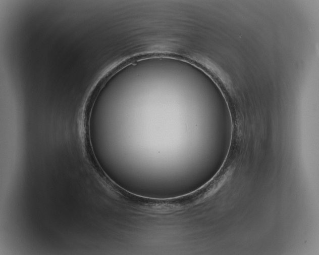 X0000102371077200808011508