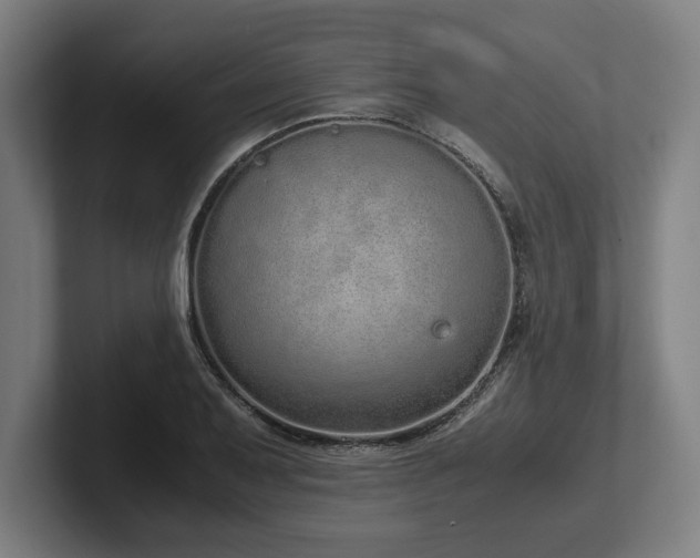 X0000102371079200808011508
