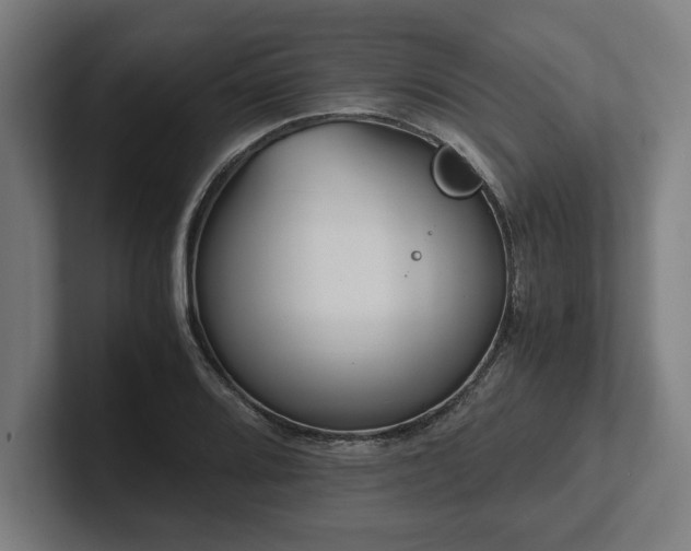 X0000102371080200808011508