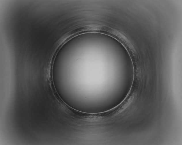 X0000102371081200808011508