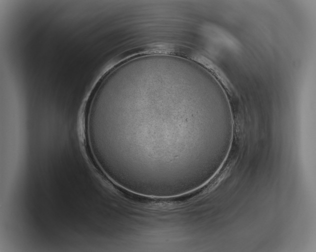 X0000102371083200808011508