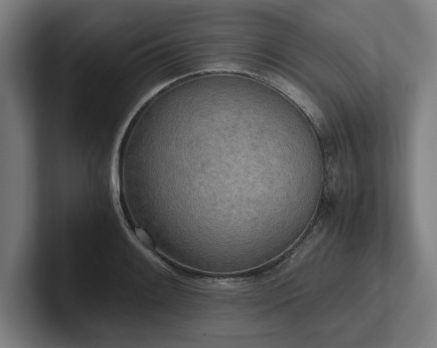 X0000102371084200808011508