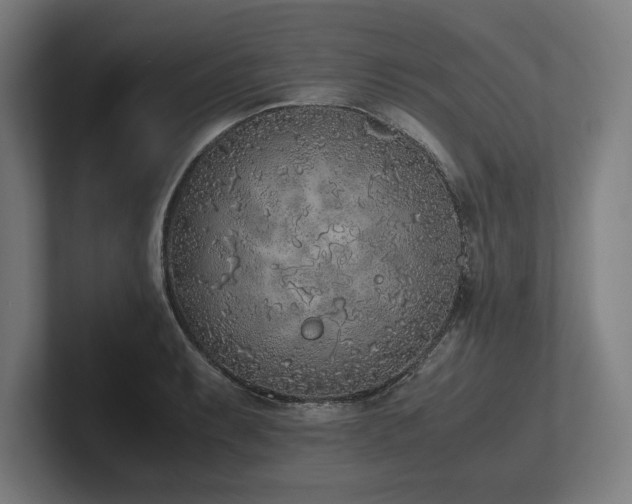 X0000102371087200808011508